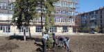 На бульваре Пушкина в Славянске начали высаживать деревья 