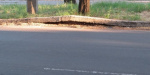 В Мариуполе жара разрушает дороги
