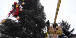 В Константиновке с главной елки украли новогодние игрушки