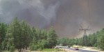 Ущеpб от пожаров на Луганщине в Гослесагентстве оценили в 5 миллиардов гривень