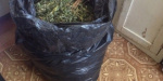 В Славянске изъяли 10 килограмм  наркотиков у местного жителя