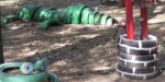 В Мариуполе появился зеленый четырехметровый крокодил 