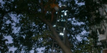 Трусливого мариупольца спасателям пришлось снимать с дерева