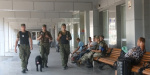 Служебный пес нашел наркотики в Мариуполе
