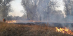 В Донецкой области школа и 30 домов едва не пострадали во время пожара