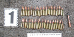 Дружковчанин нашел в лесополосе 50 патронов