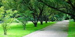 В Константиновке выделят 2 миллиона гривен на озеленение парков