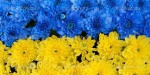 В Мариуполе появится огромный флаг из цветов