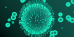 В Дружковке очередное подозрение на коронавирус