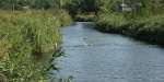 На Добропольщине чистят реку Бык