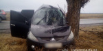 На Донетчине авто въехало в дерево: водитель погиб на месте