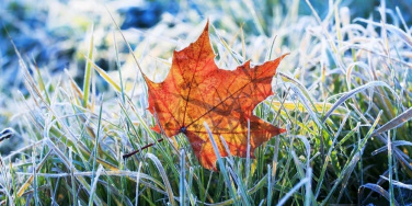 Синоптики прогнозують заморозки: В Україну йде похолодання