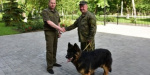Собаки-полицейские будут патрулировать Мариуполь
