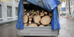 В Славянском районе задержали злоумышленников, которые незаконно пилили деревья
